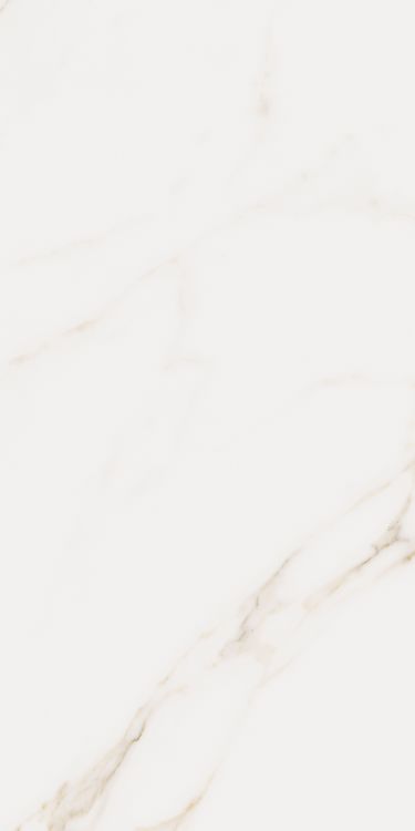 Omnia Calacatta Levigato 12 x 24